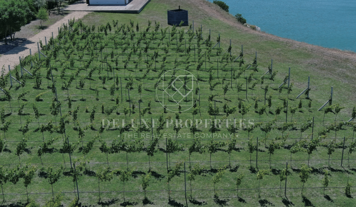Screenshot 2022-11-29 at 12.32.32